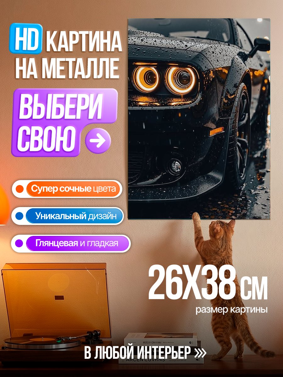 Картина на металле Черный маслкар
