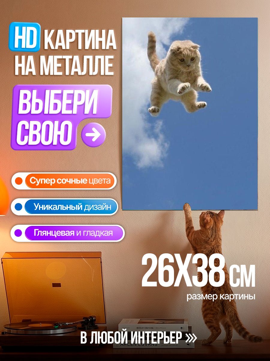 Картина на металле Кот в полете