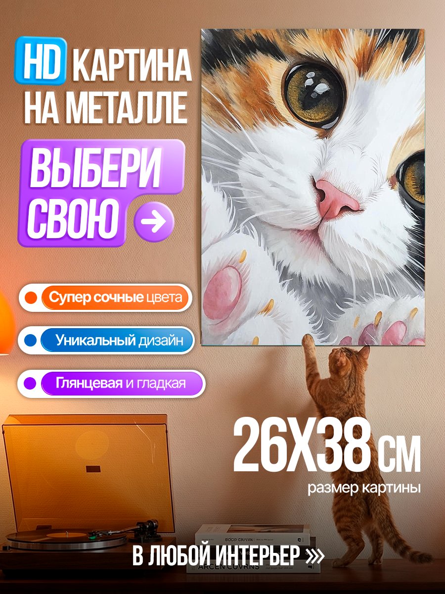 Картина на металле Кот с большими глазами