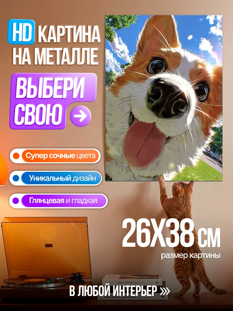 Картина на металле Веселый корги в парке