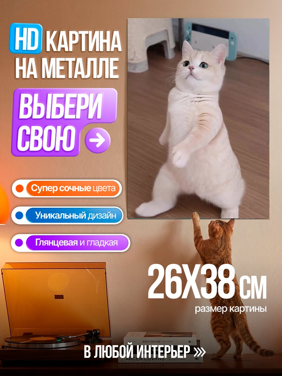 Картина на металле Кот танцует