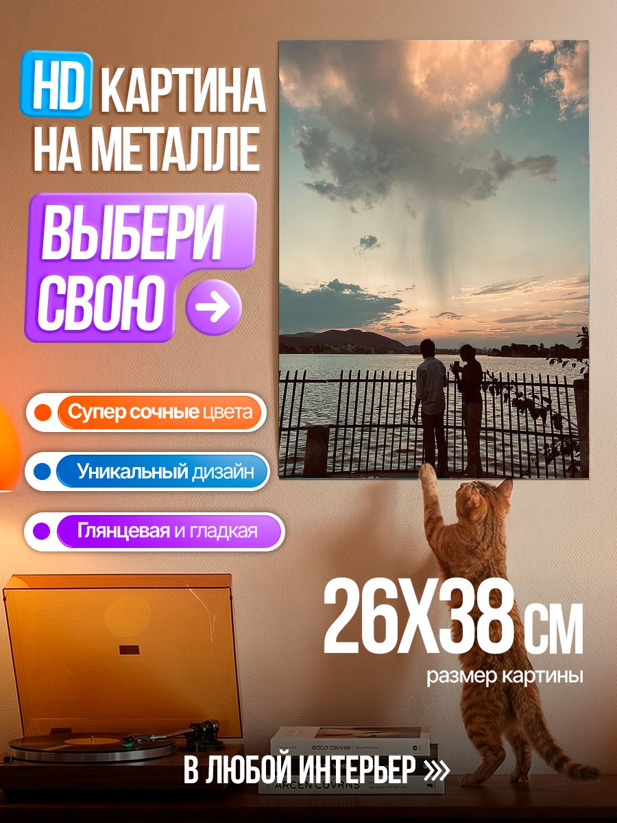 Картина на металле Двое смотрят на закат