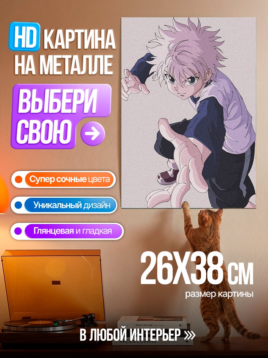 Картина на металле Киллуа Зольдик