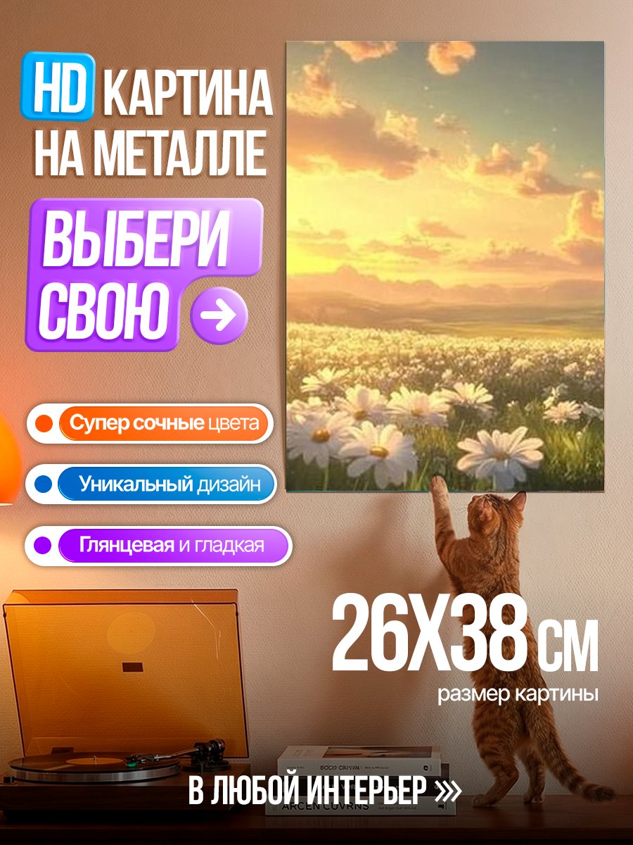 Картина на металле Поле ромашек на закате