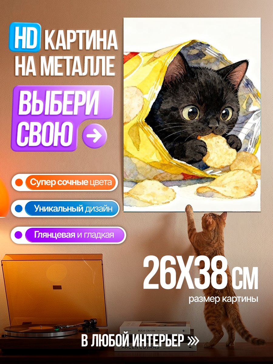 Картина на металле Черный котенок в чипсах