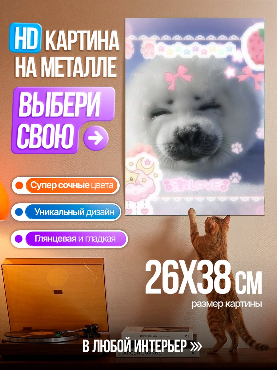 Картина на металле Милый тюлень в облаках