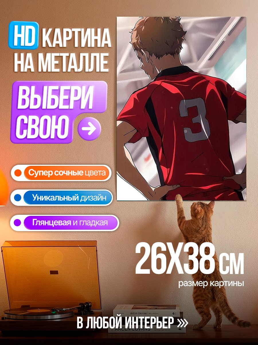 Картина на металле Волейболист Хайкю