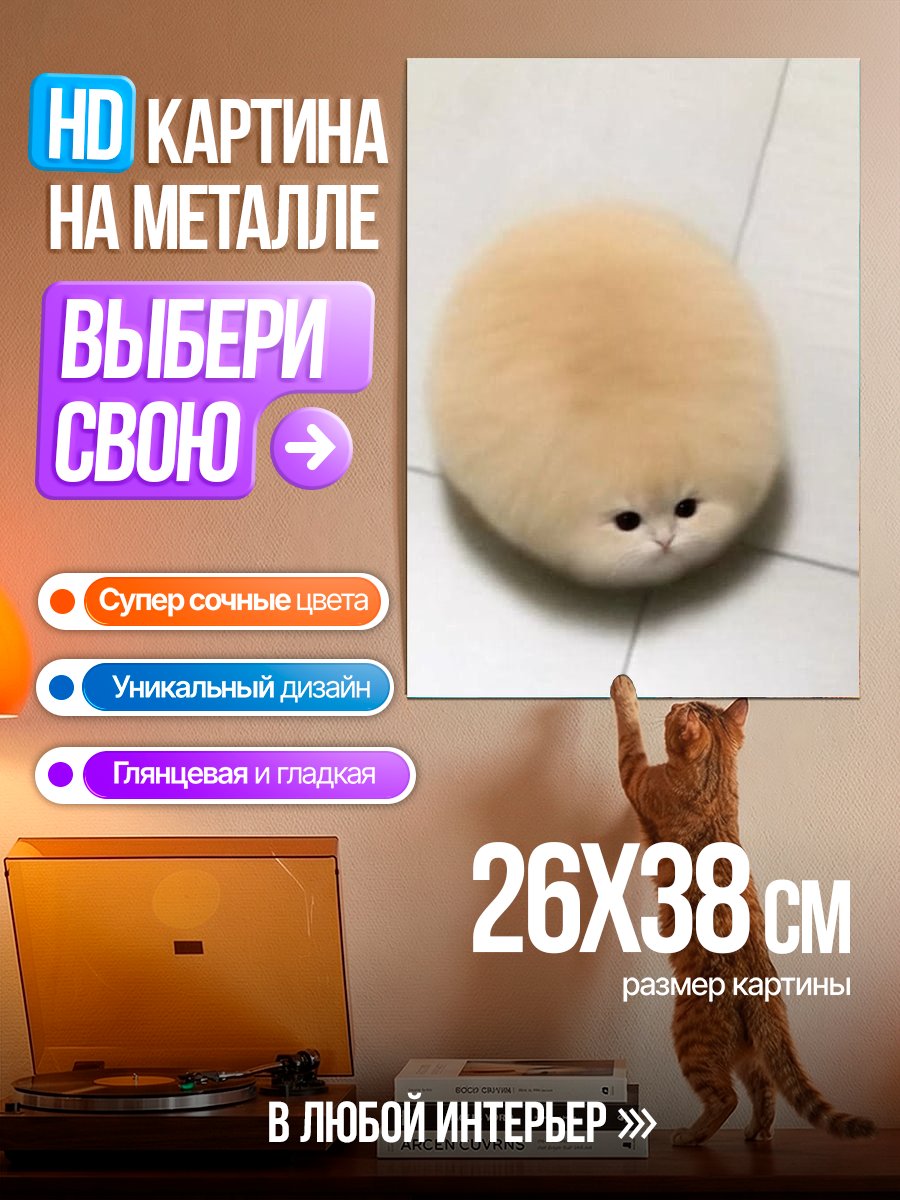 Картина на металле Пушистый кот шарик
