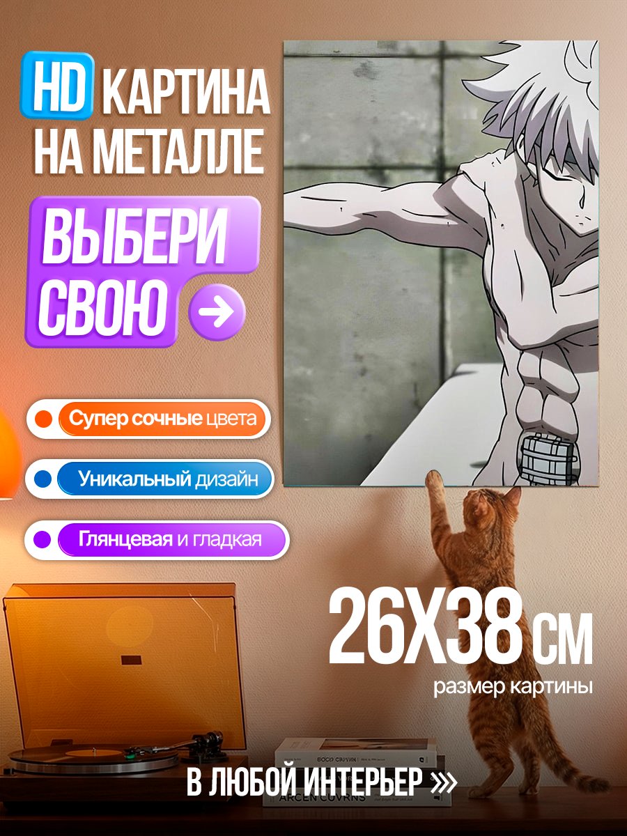 Картина на металле Киллуа Золдик