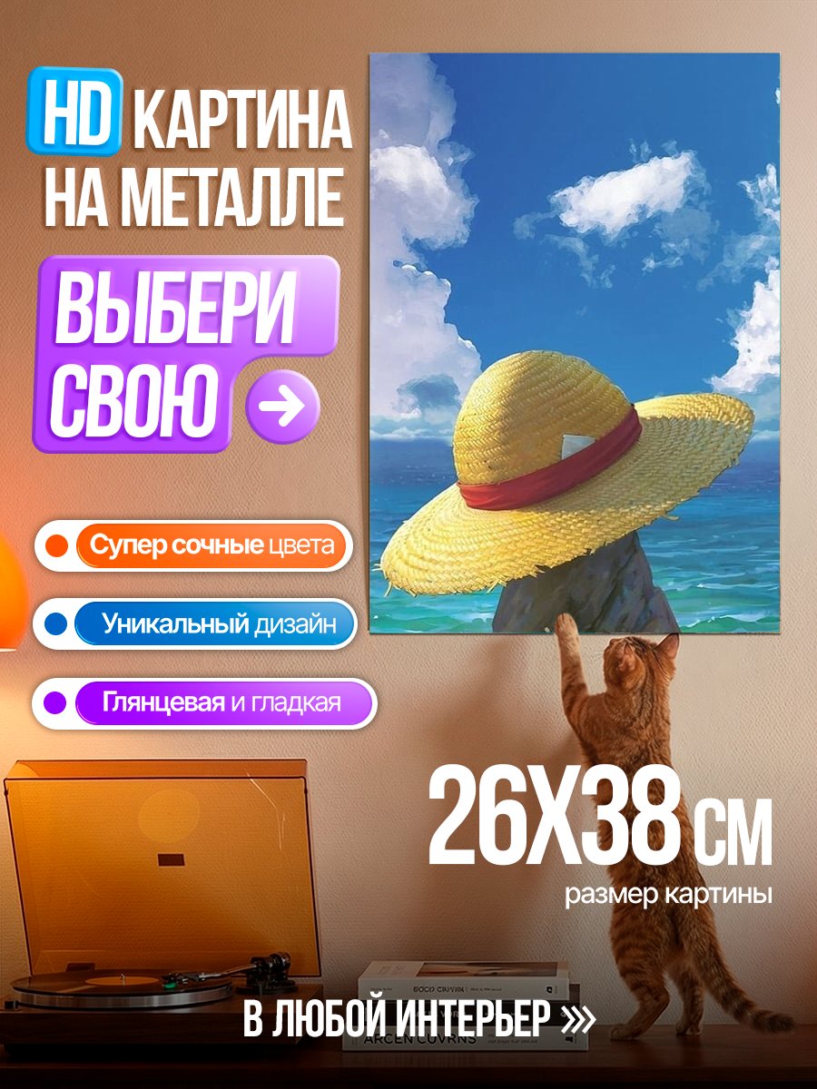 Картина на металле Шляпа Луффи на камне