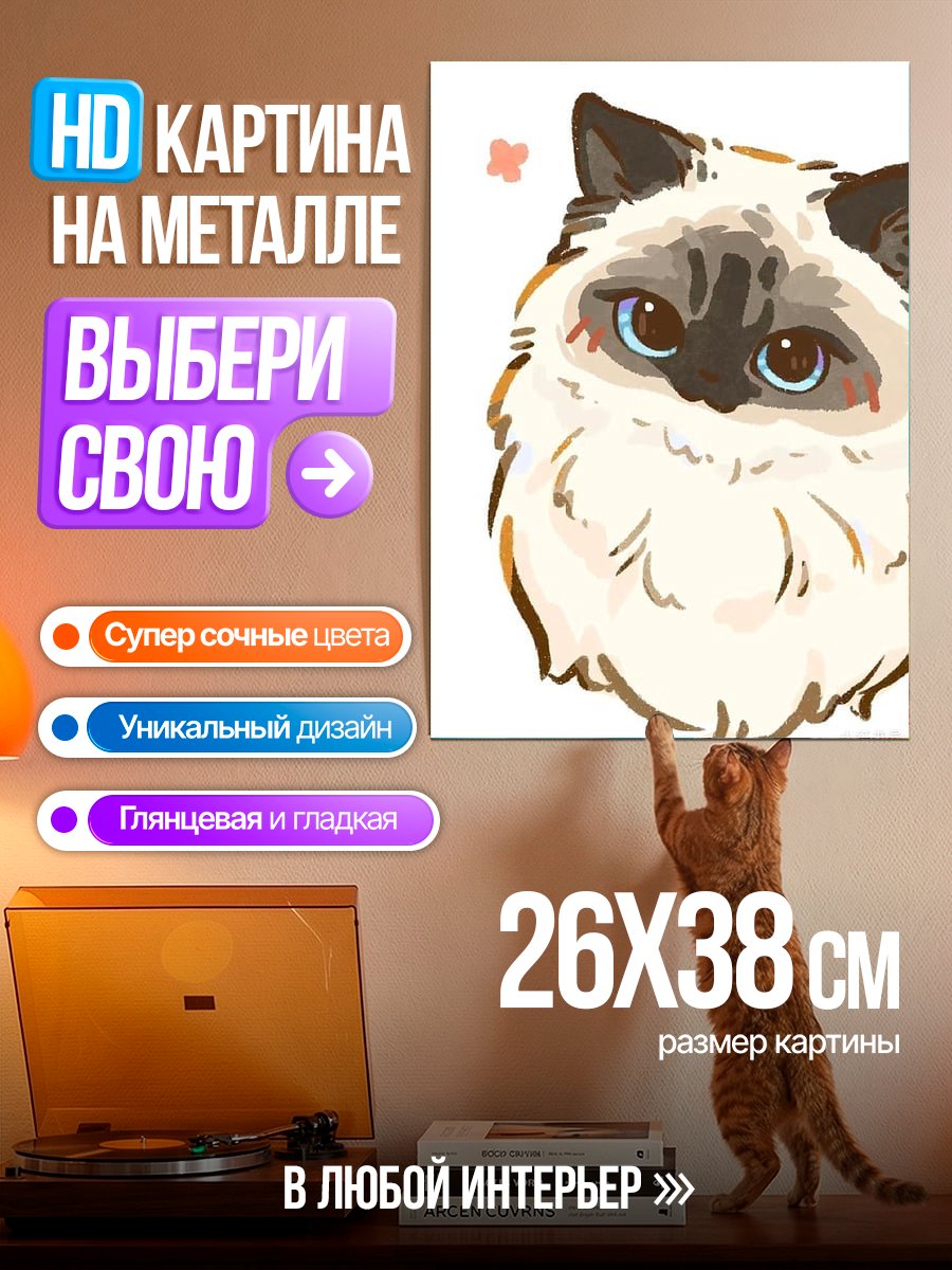 Картина на металле Милый кот породы рэгдолл