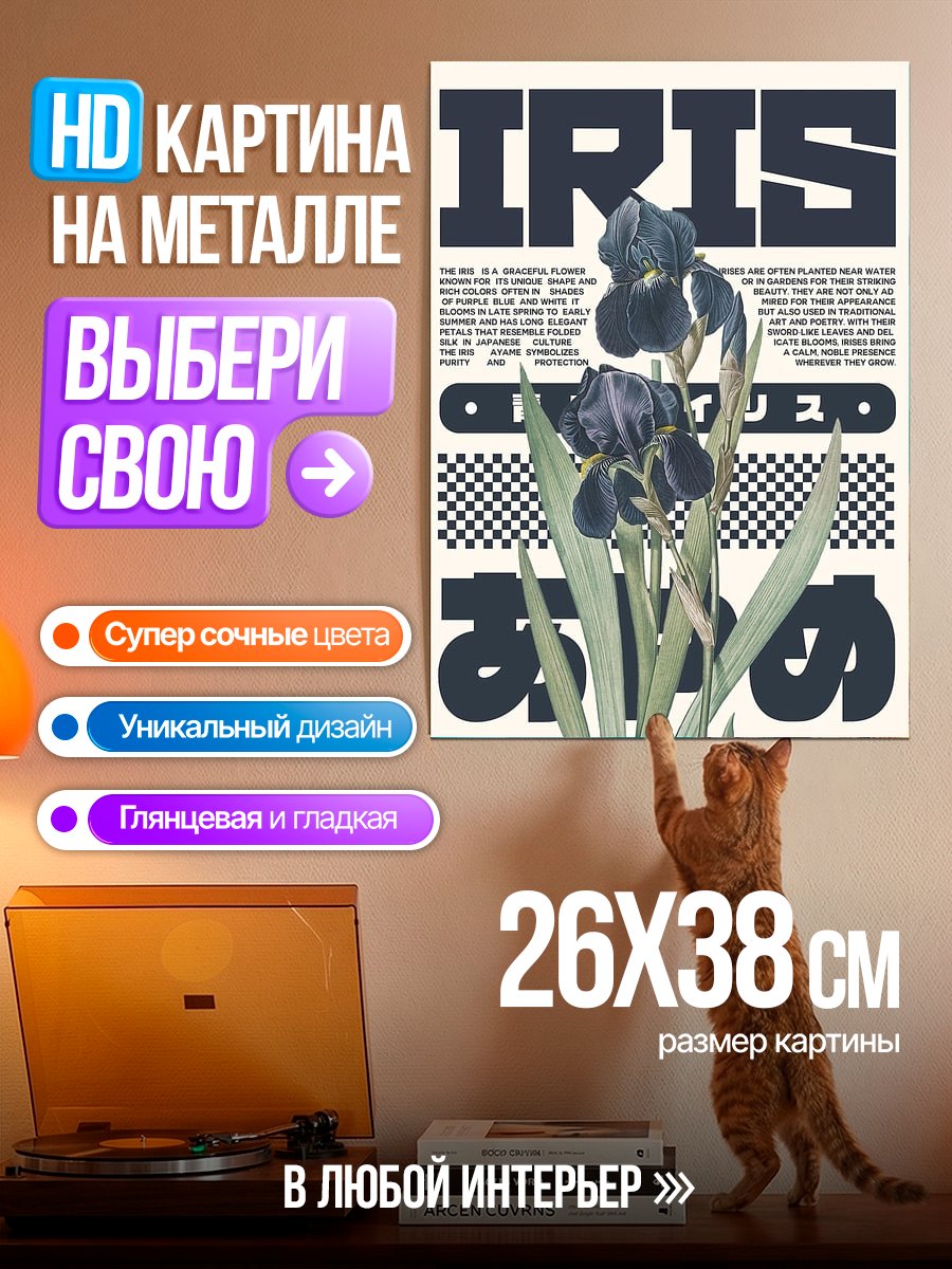 Картина на металле Черный ирис