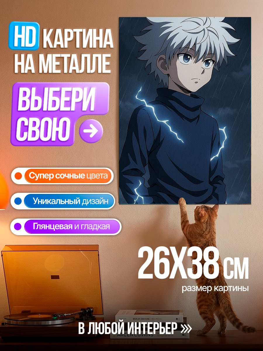 Картина на металле Киллуа Золдик