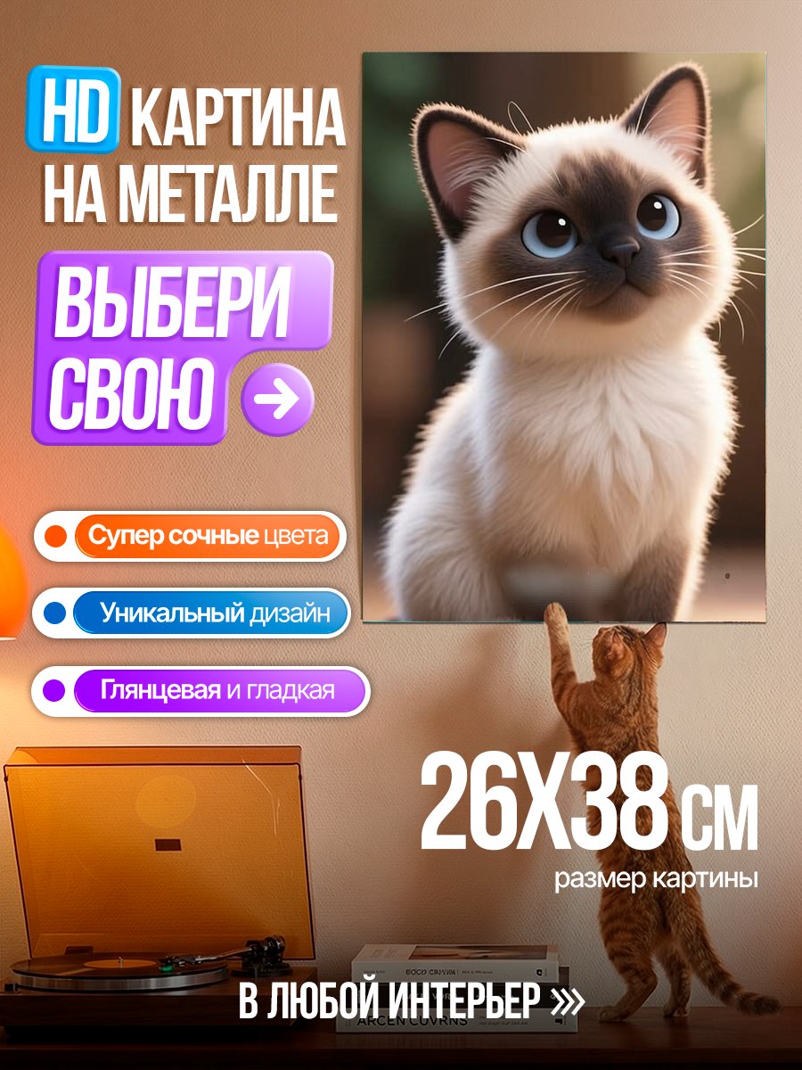 Картина на металле Сиамский котенок