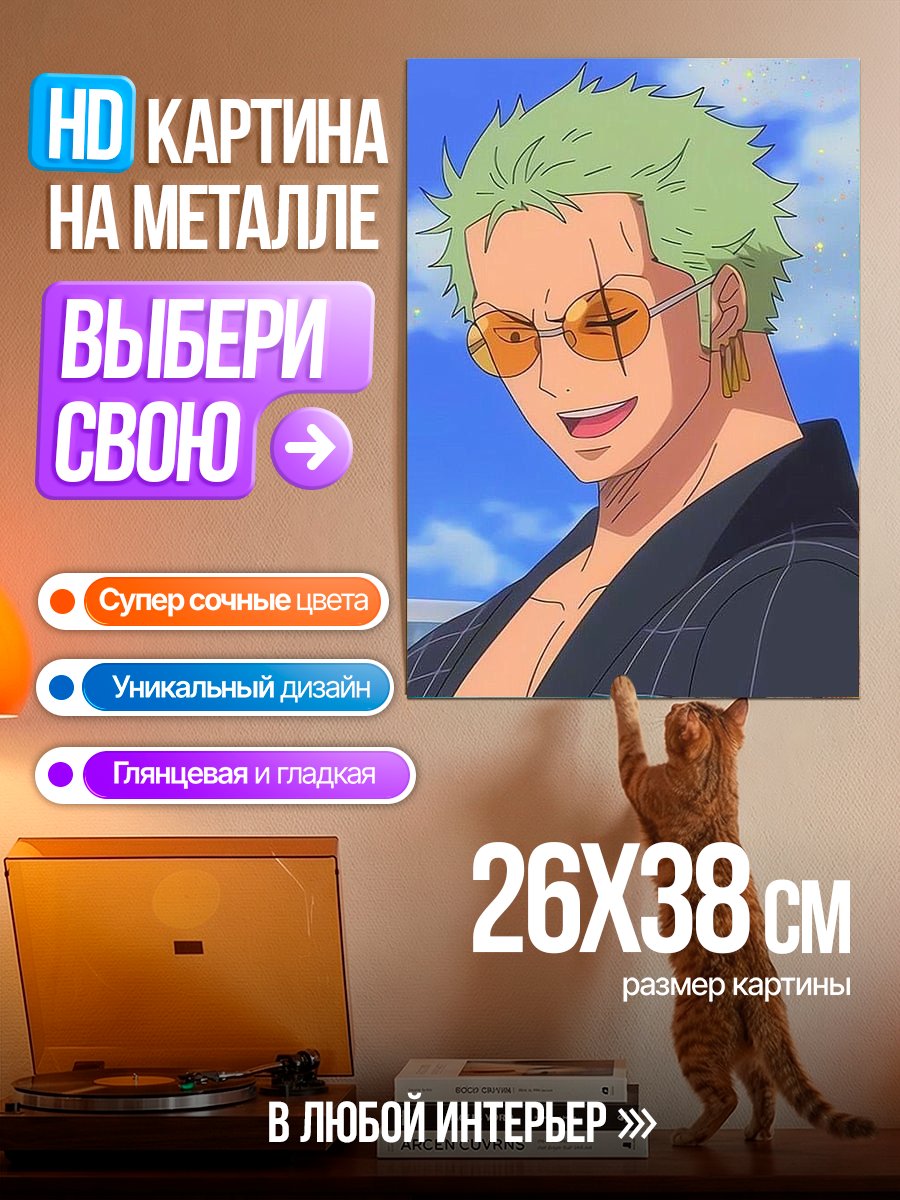 Картина на металле Зоро в очках