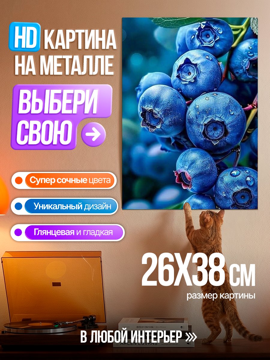 Картина на металле Спелая черника на ветке