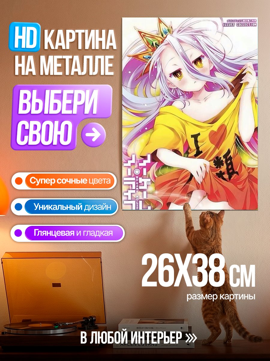 Картина на металле Широ из Нет игры Нет жизни
