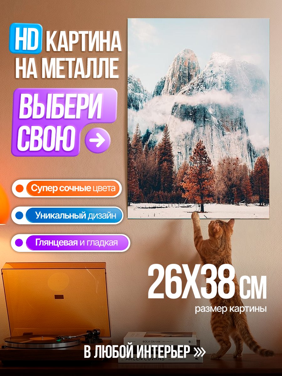 Картина на металле Зимние горы Йосемити