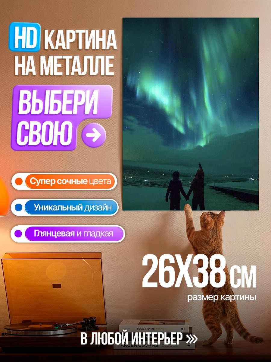 Картина на металле Пара под северным сиянием
