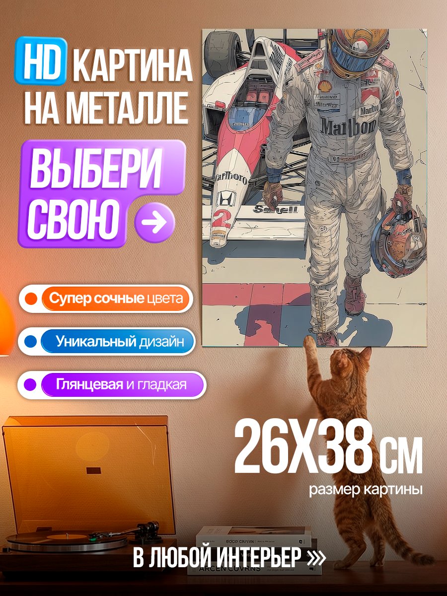 Картина на металле Гонщик и болид