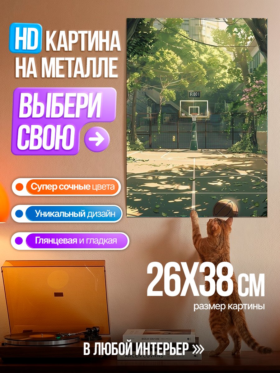 Картина на металле Баскетбольная площадка летом