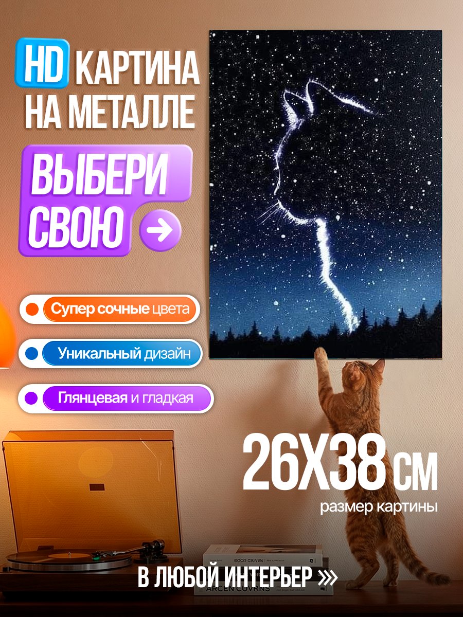Картина на металле Кот в звёздах