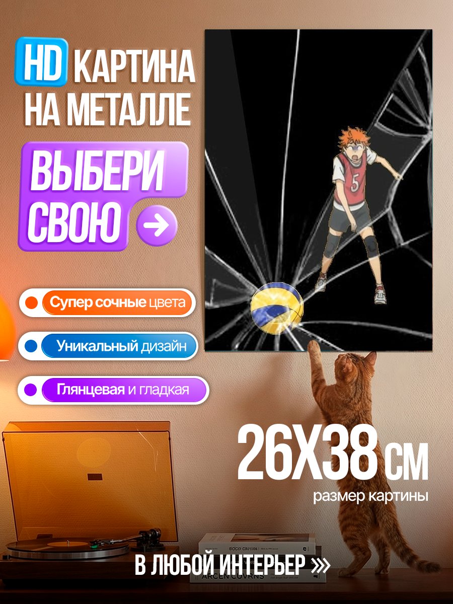 Картина на металле Волейболист Хината