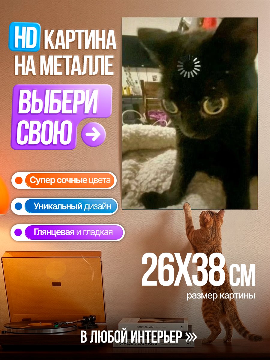 Картина на металле Черный кот с индикатором загрузки