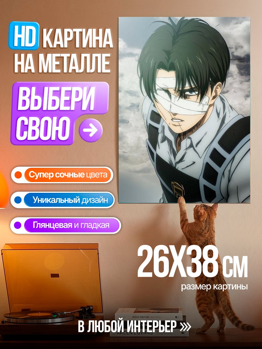 Картина на металле Капитан Леви