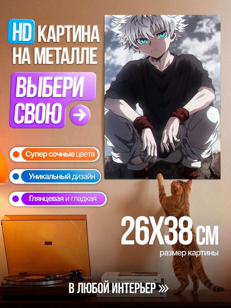 Картина на металле Киллуа Золдик