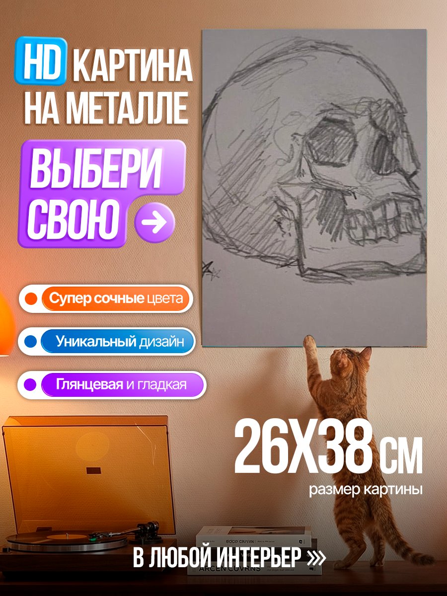 Картина на металле Набросок человеческого черепа