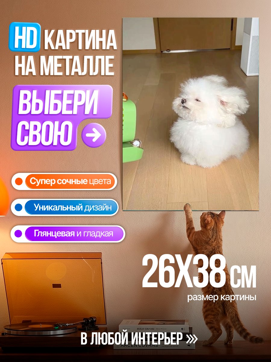 Картина на металле Пушистый белый пес