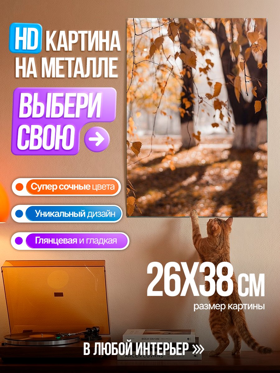 Картина на металле Осенний лес в лучах