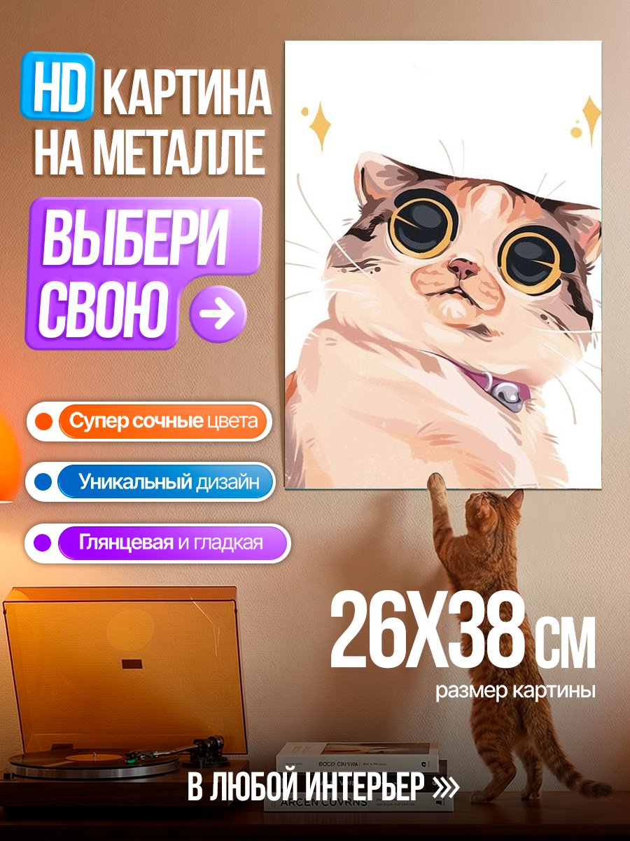 Картина на металле Забавный кот с большими глазами