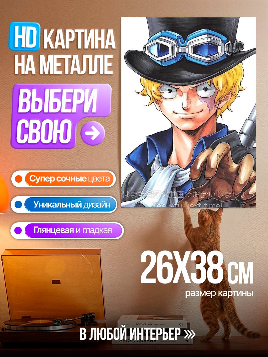 Картина на металле Сабо из Ван Пис