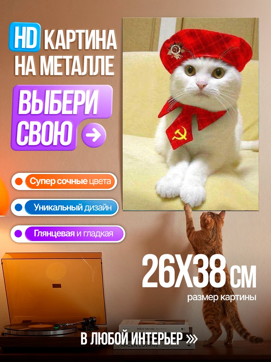 Картина на металле Кот в берете