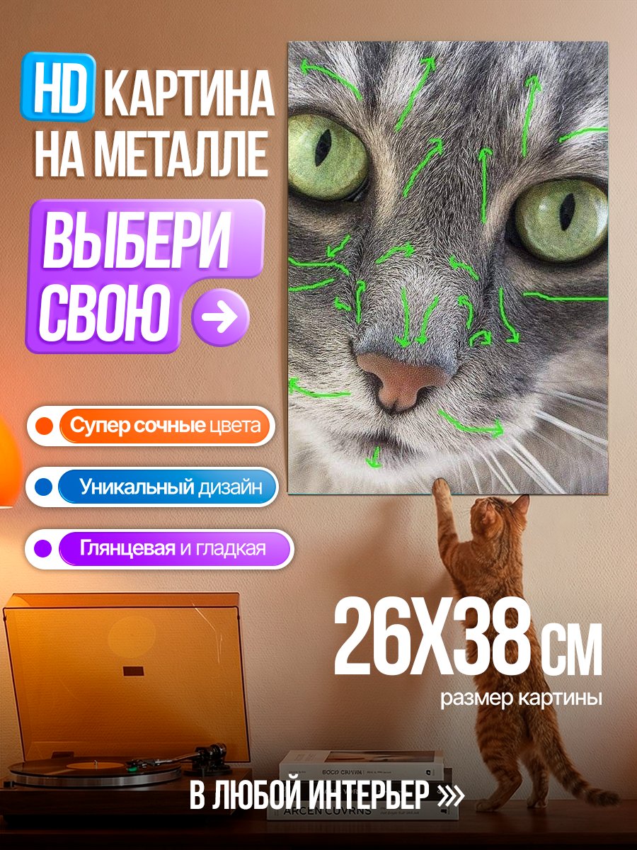 Картина на металле Кот с зелеными глазами