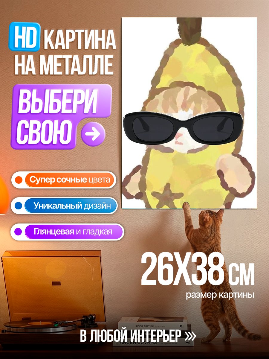 Картина на металле Кот в костюме банана