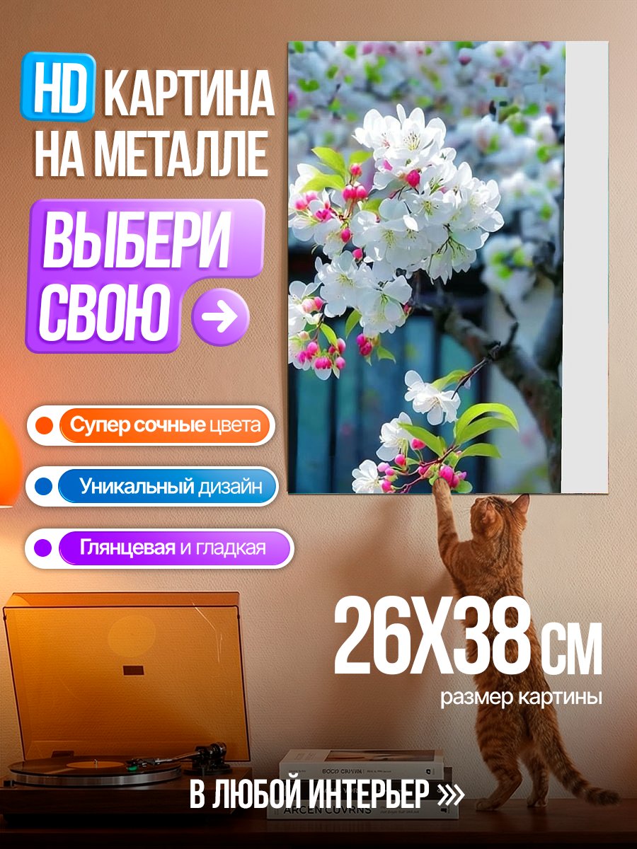 Картина на металле Цветущая сакура весной