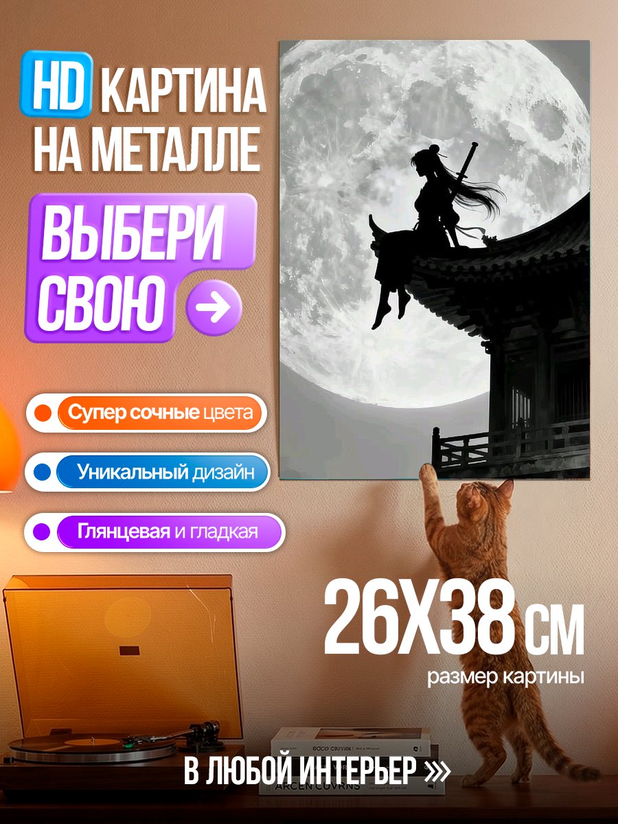 Картина на металле Девушка с мечом на крыше