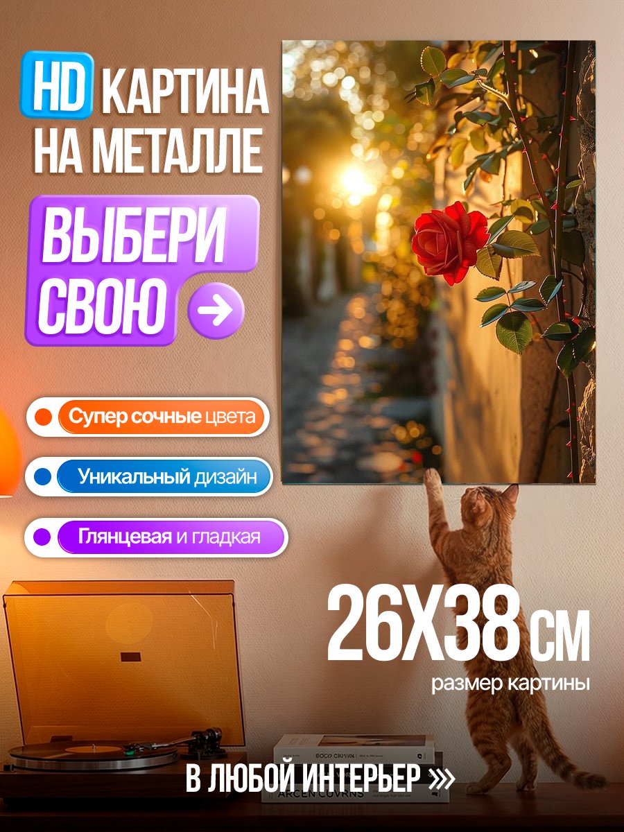 Картина на металле Роза на закате