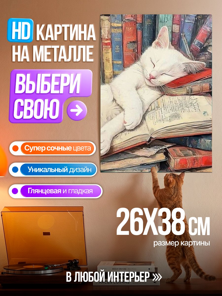 Картина на металле Белый кот спит на книгах