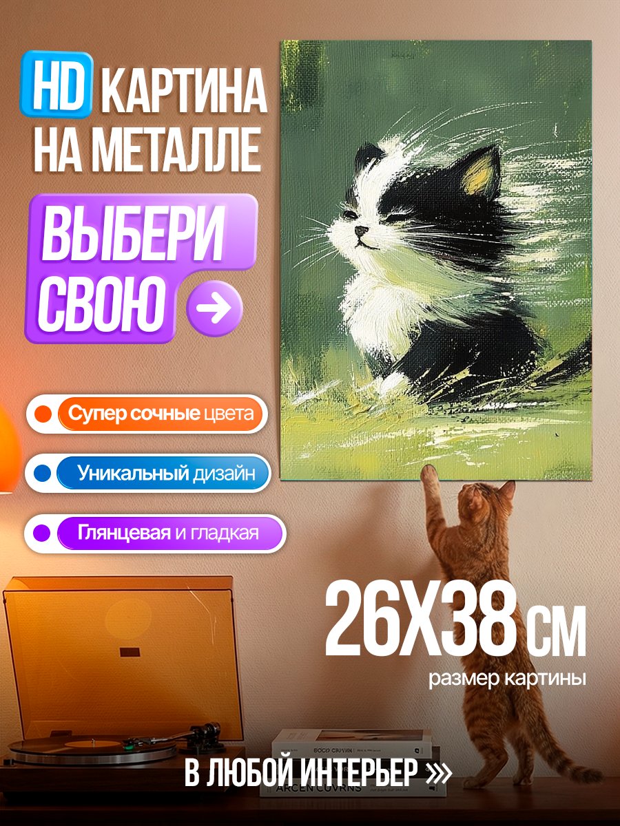 Картина на металле Черно-белый кот