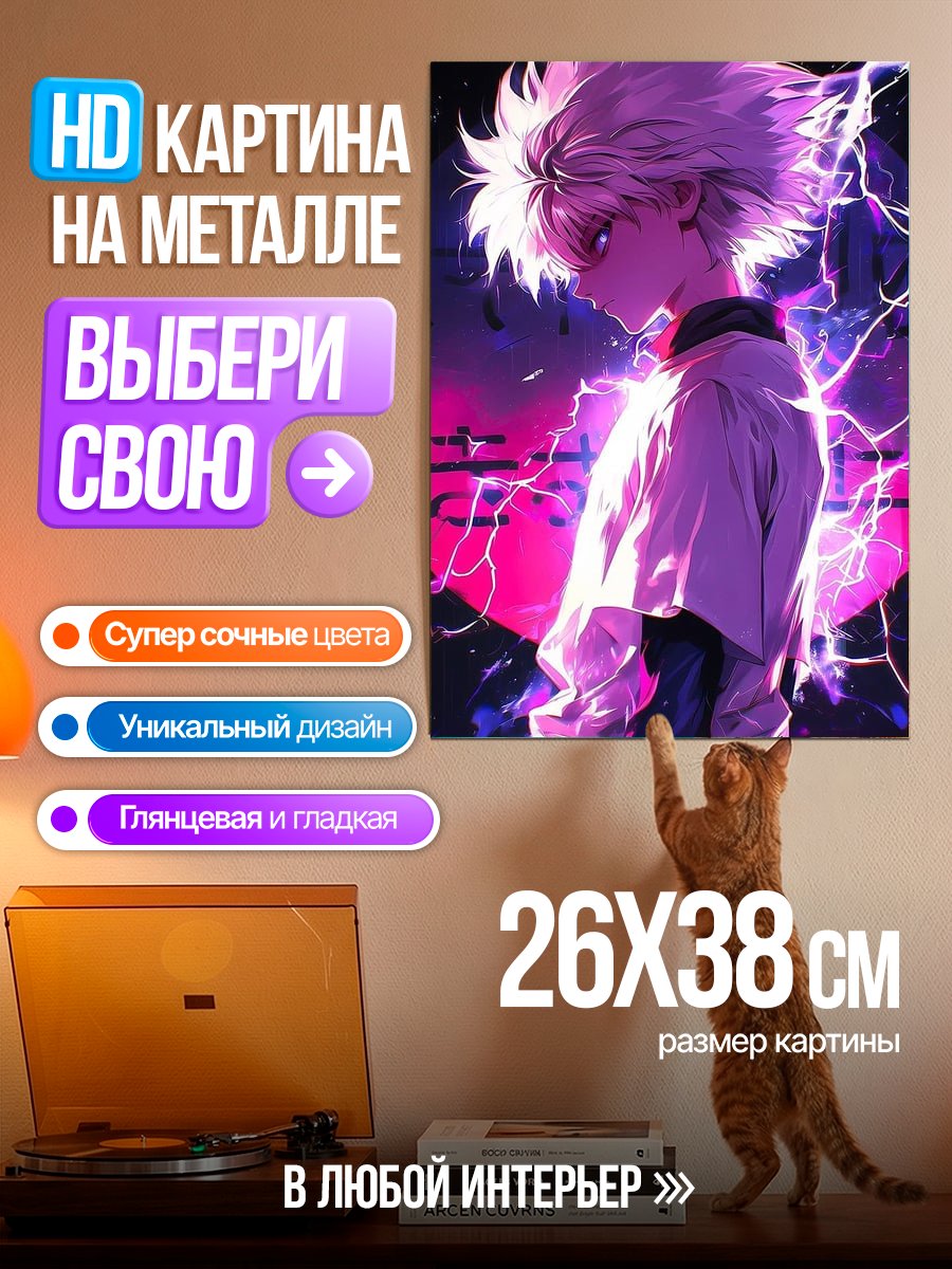 Картина на металле Киллуа Золдик