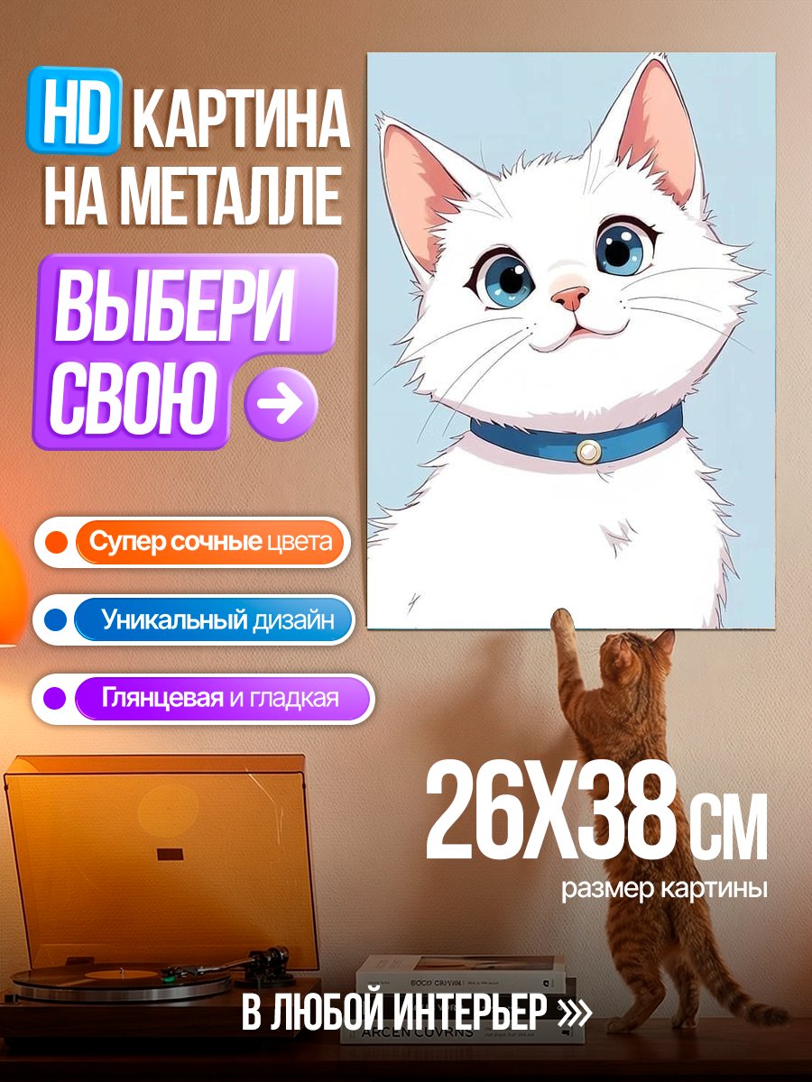 Картина на металле Белый кот с голубыми глазами