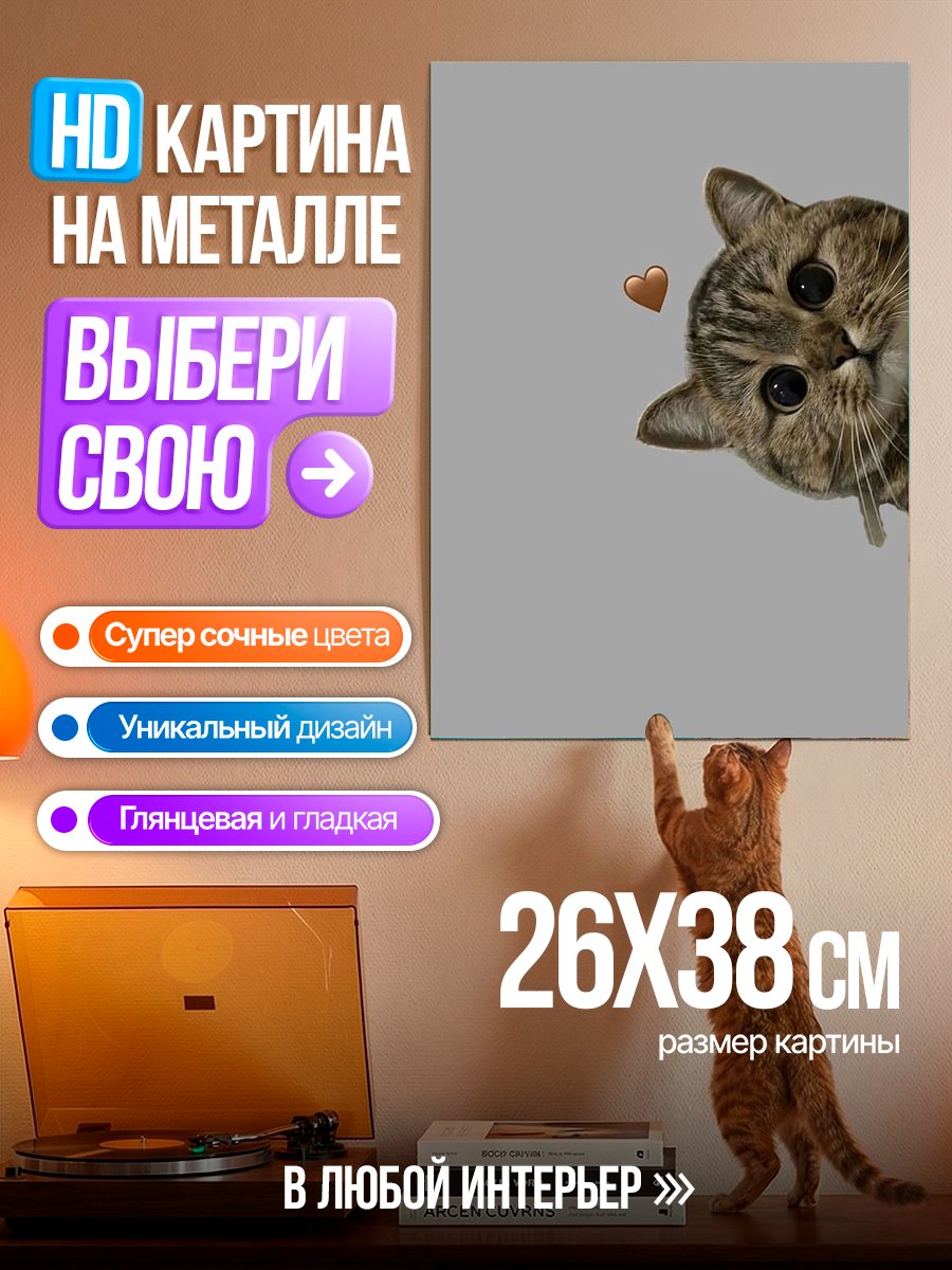 Картина на металле Любопытный котенок