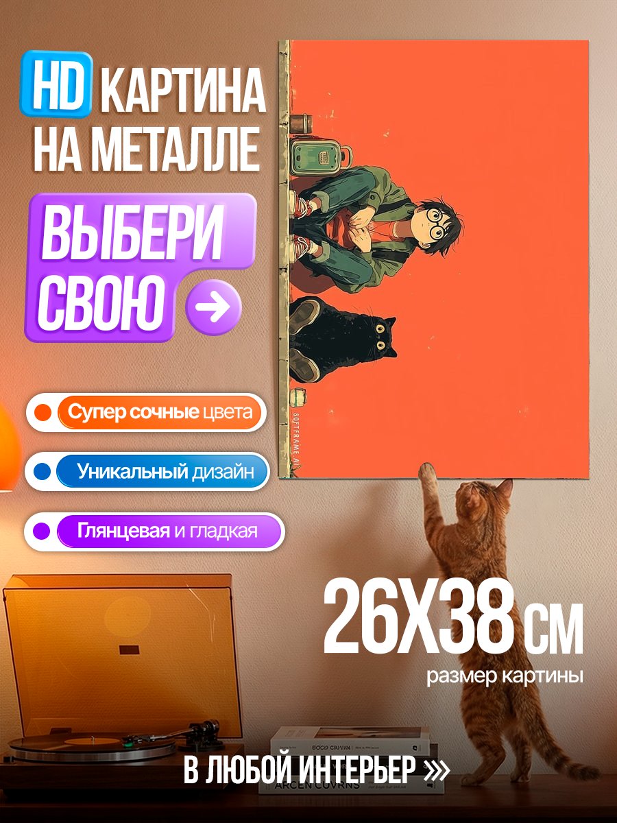 Картина на металле Гарри Поттер и кот