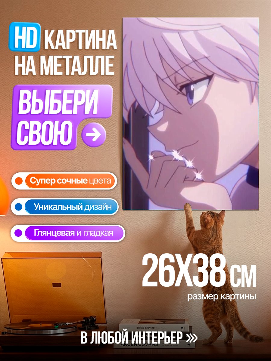 Картина на металле Киллуа Золдик