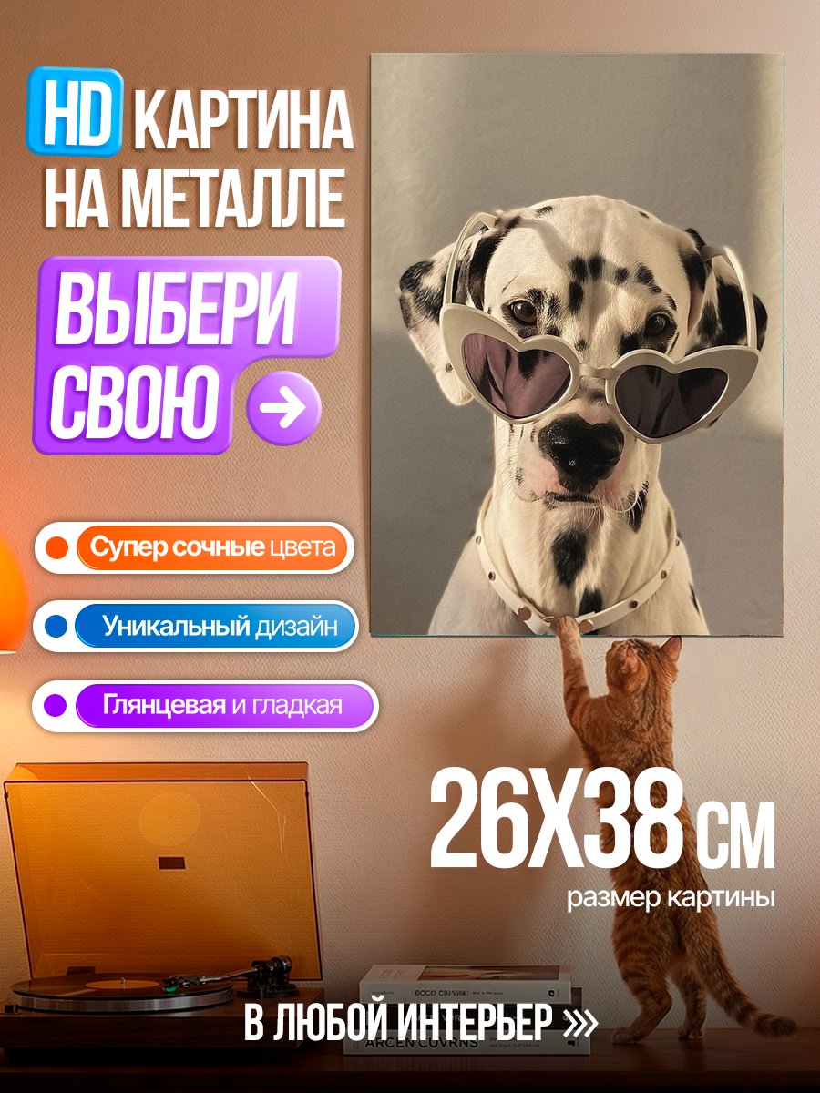 Картина на металле Стильный далматинец