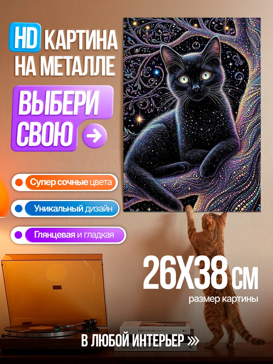 Картина на металле Черный кот в космосе